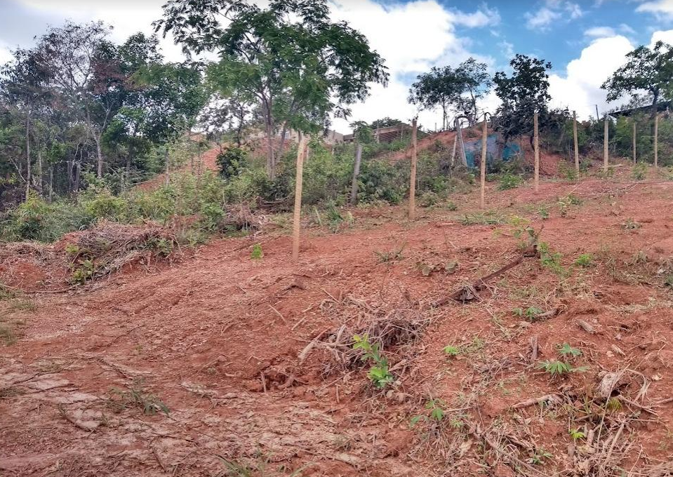 Captura de tela 2021-11-25 103815