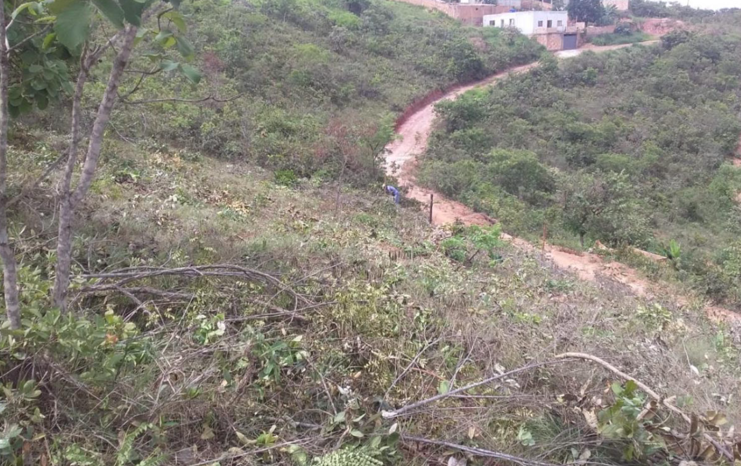 Captura de tela 2021-11-25 103849